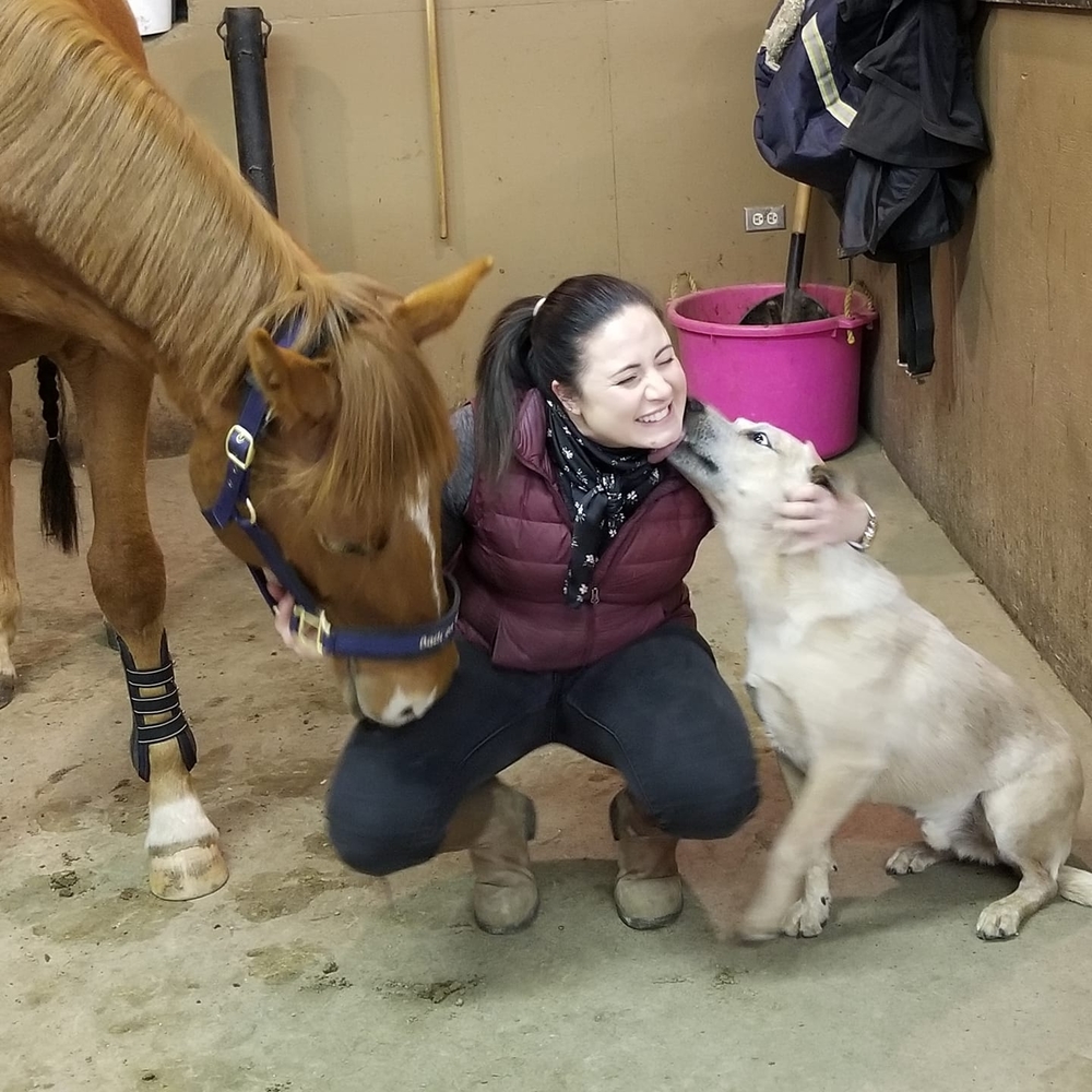 Meet your Posher, Lisa